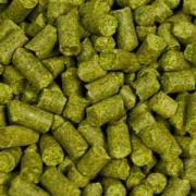 Challenger (pellet)