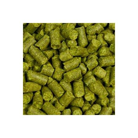 Target (pellet)