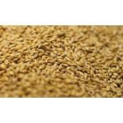 Wheat malt light (weizen) 3 EBC