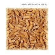 Spelt Malt WEYERMANN EBC 3-6
