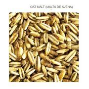 Golden Naked Oats SIMPSONS EBC 2-3, (avena)