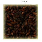 Black SIMPSONS EBC 1450-1900