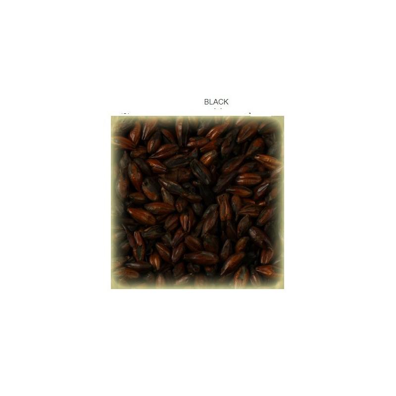 Carafa Special type 1 EBC 800-1000