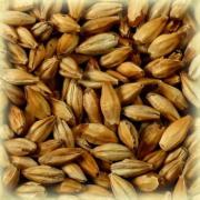 Melanoidin Malt EBC 60-80