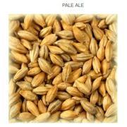 Pale Ale WEYERMANN EBC 5,5-7,5