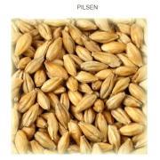 Premium Pilsner WEYERMANN EBC 2-2,5