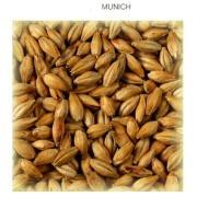 Munich malt type 2 WEYERMANN EBC 22-28