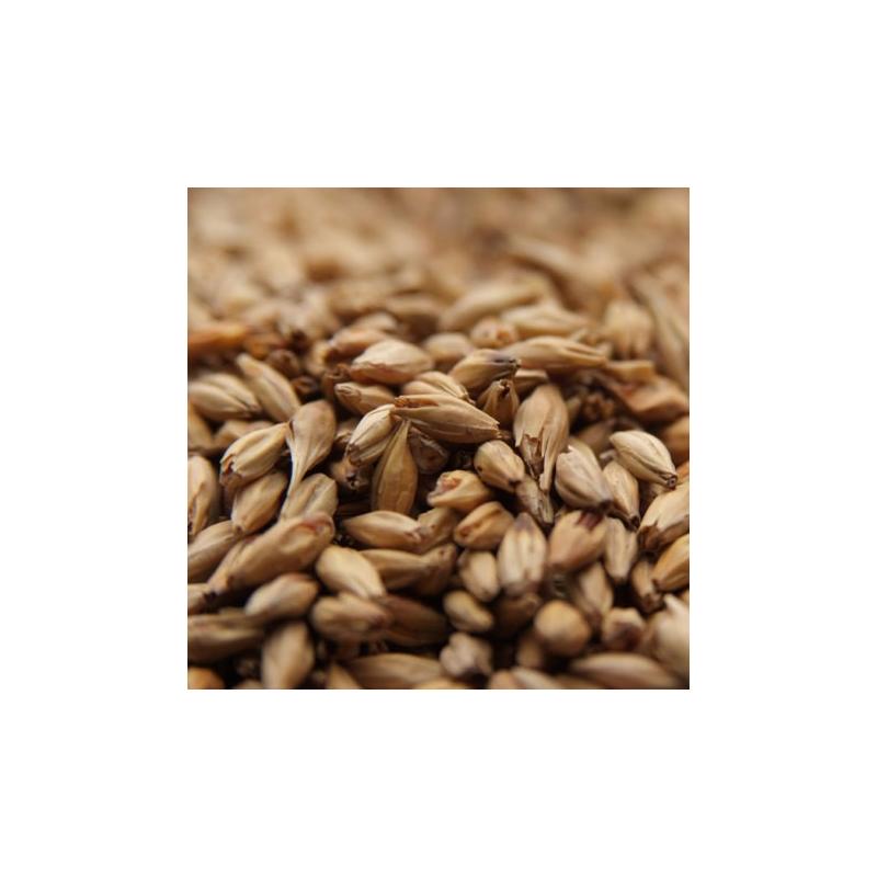 CaraAmber® EBC 60-80