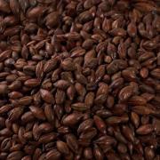 Carafa Special type 2 EBC 1100-1200