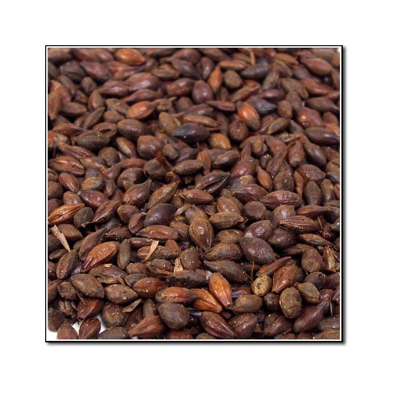 Roasted Barley SIMPSONS EBC 1300-1900