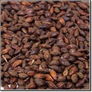 Roasted Barley SIMPSONS EBC 1300-1900