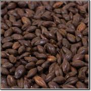 Chocolate SIMPSONS 1200 EBC