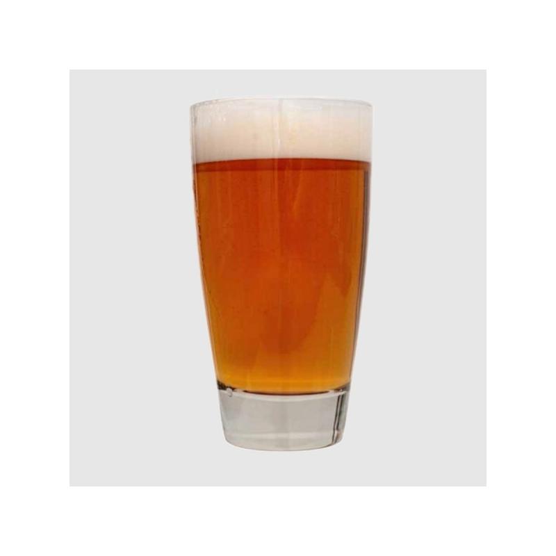kit malta todo grano PALE ALE.