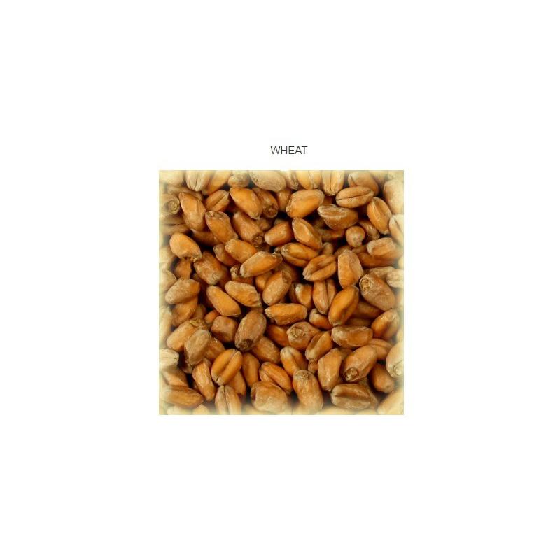 Wheat malt light (weizen) 3 EBC