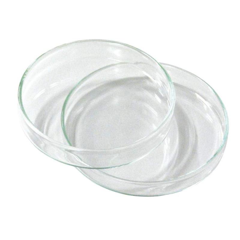 petri dish glass 80x15 mm
