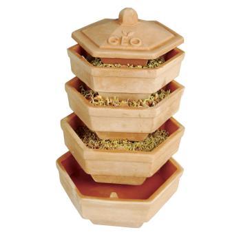 germinator GEO TERRA