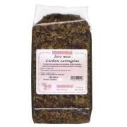 irish moss
