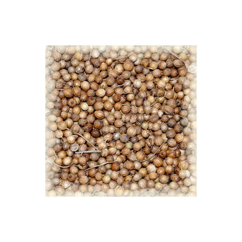 coriander (cilantro), seed