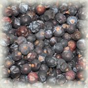 juniper berry (bayas de enhebro)